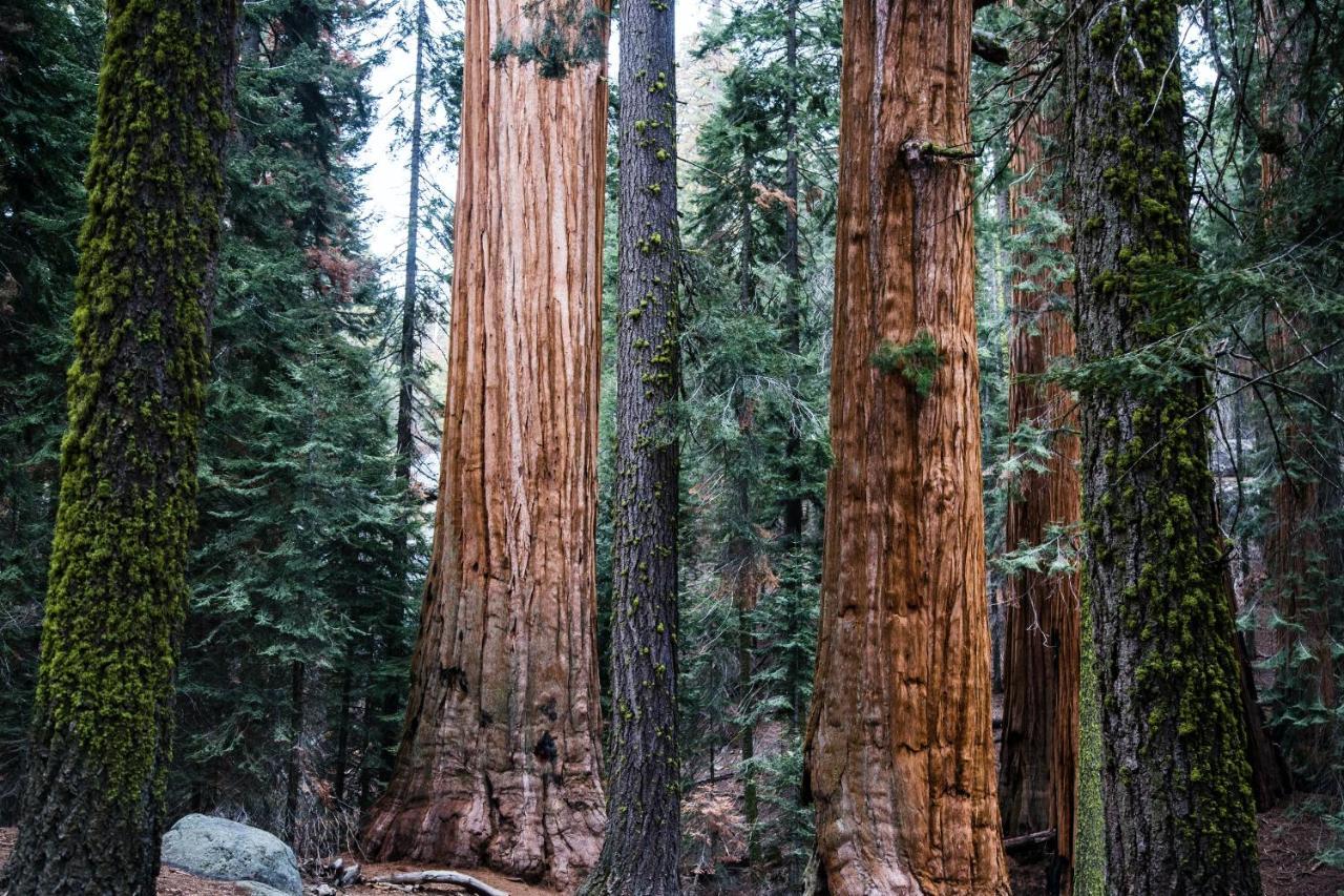 Sequoia Village 2* Three Rivers